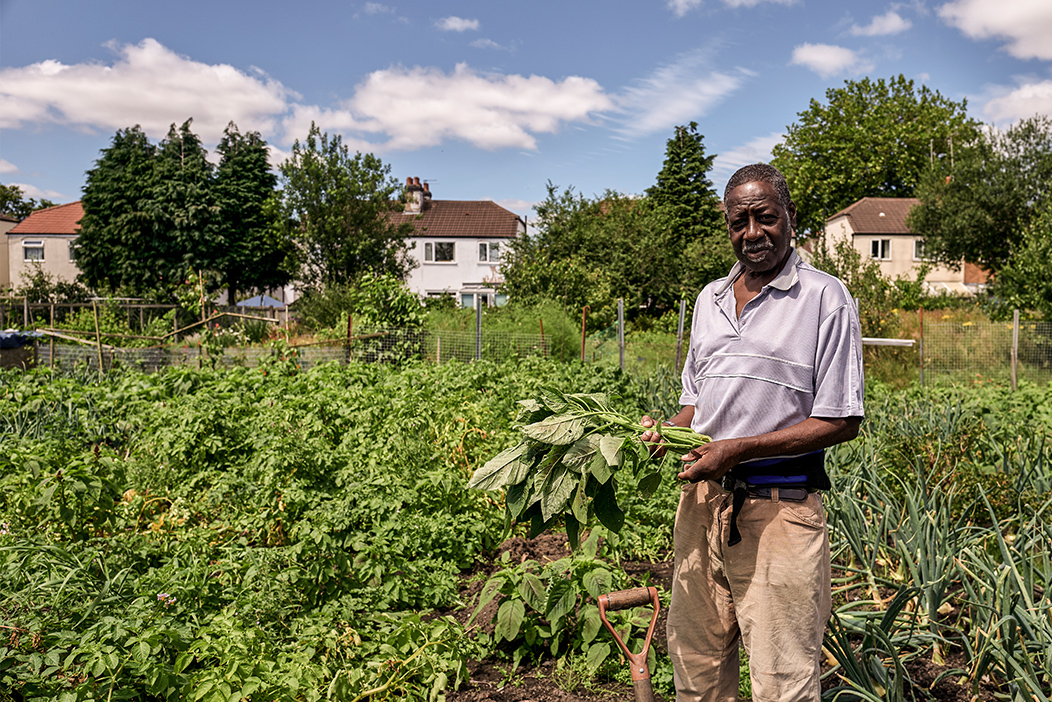 man in allotment