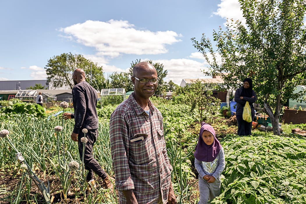 gorse hill allotment