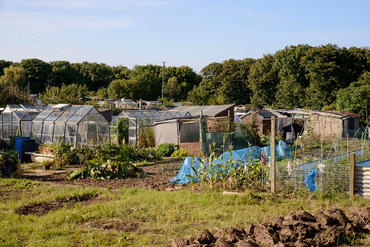 Allotment