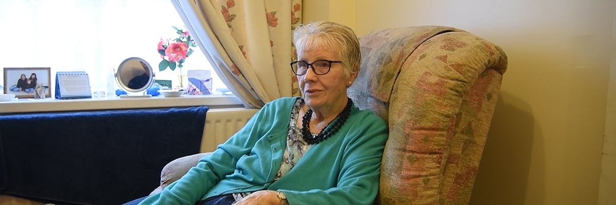 Hazel sitting on a chair