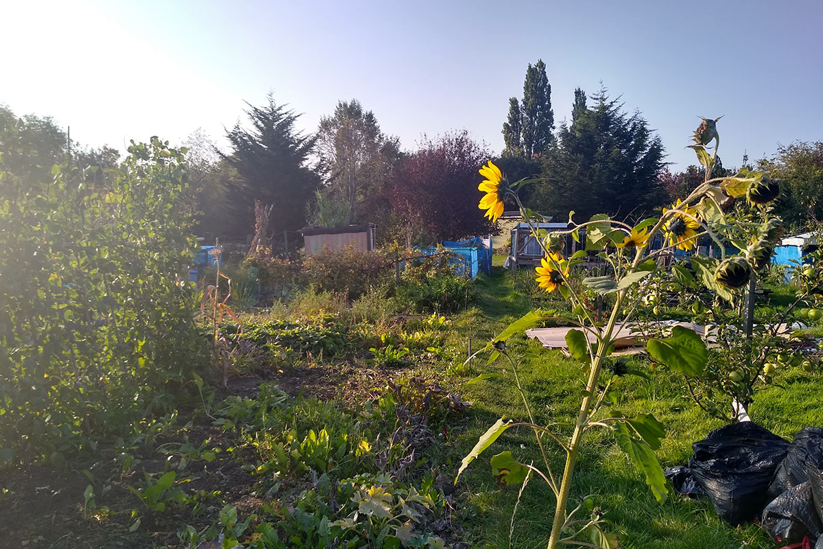 Allotment