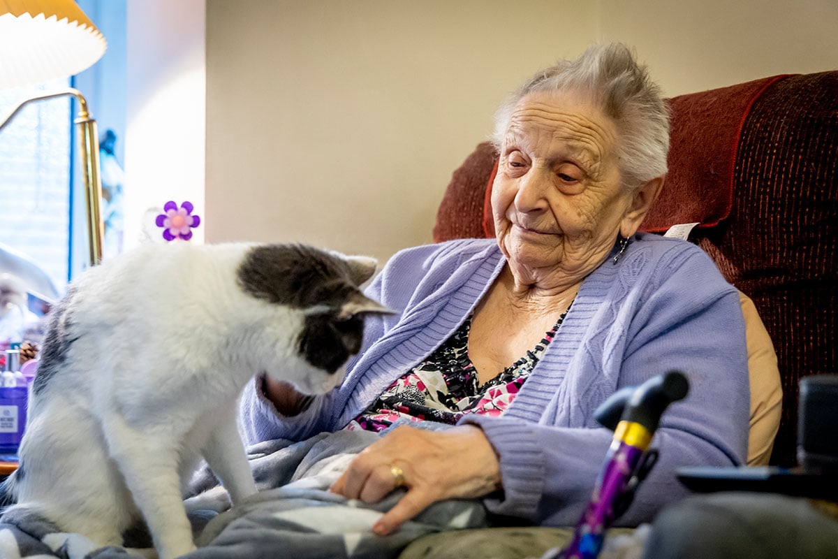 Older-woman-with-a-cat-on-her-lap