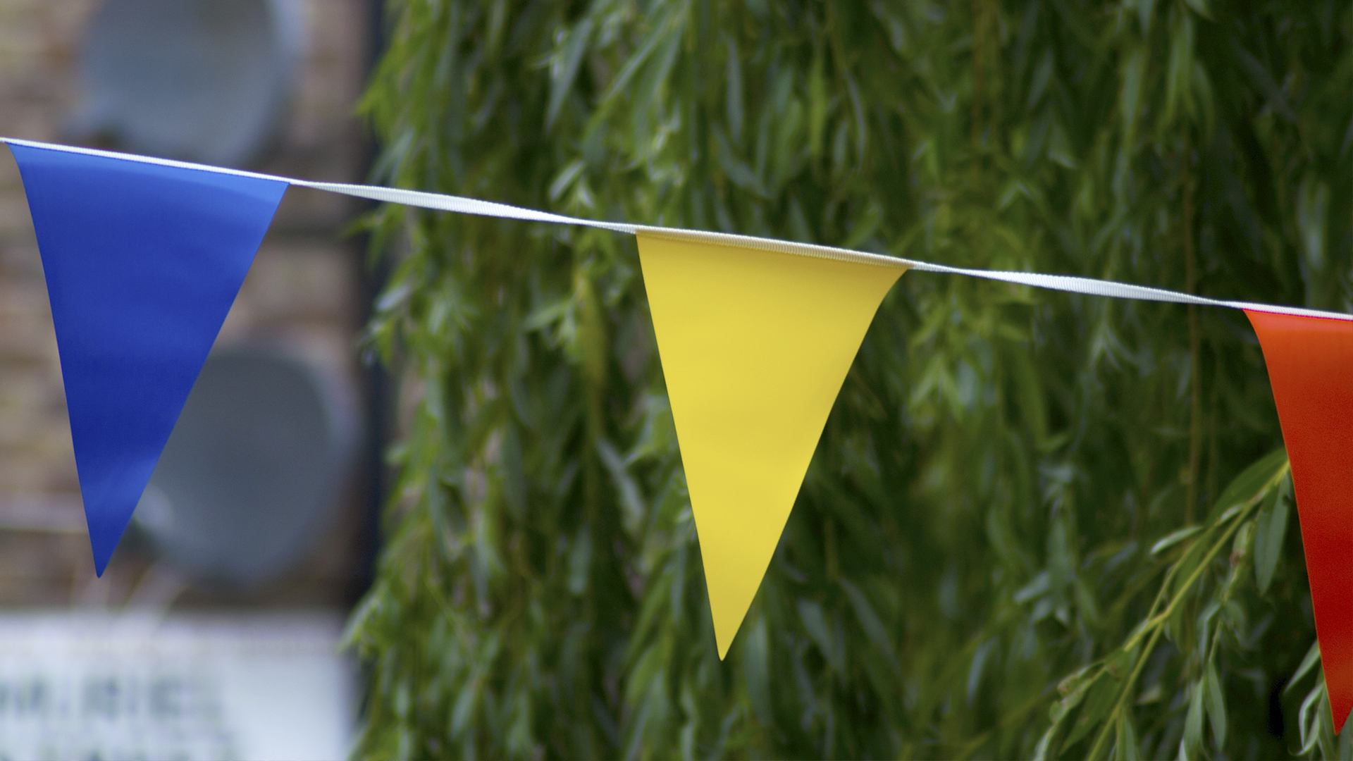 Bunting