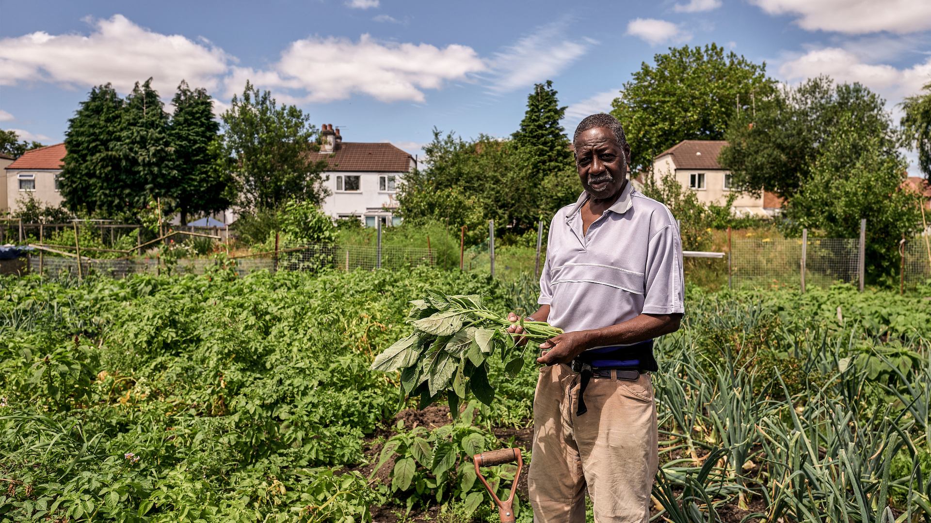 man in allotment