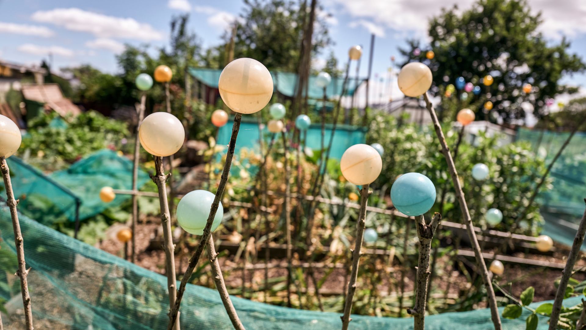Community garden
