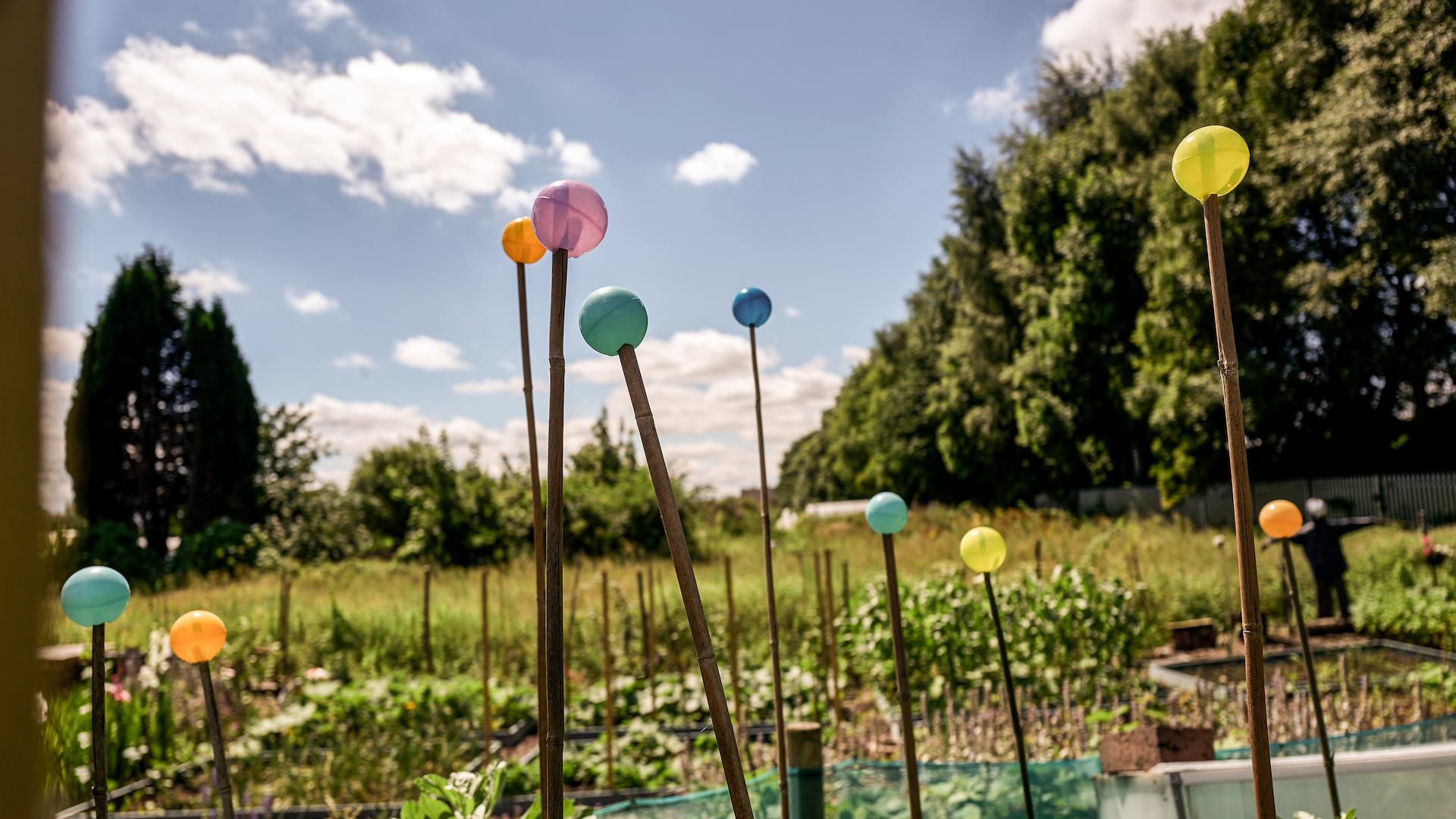 An allotment