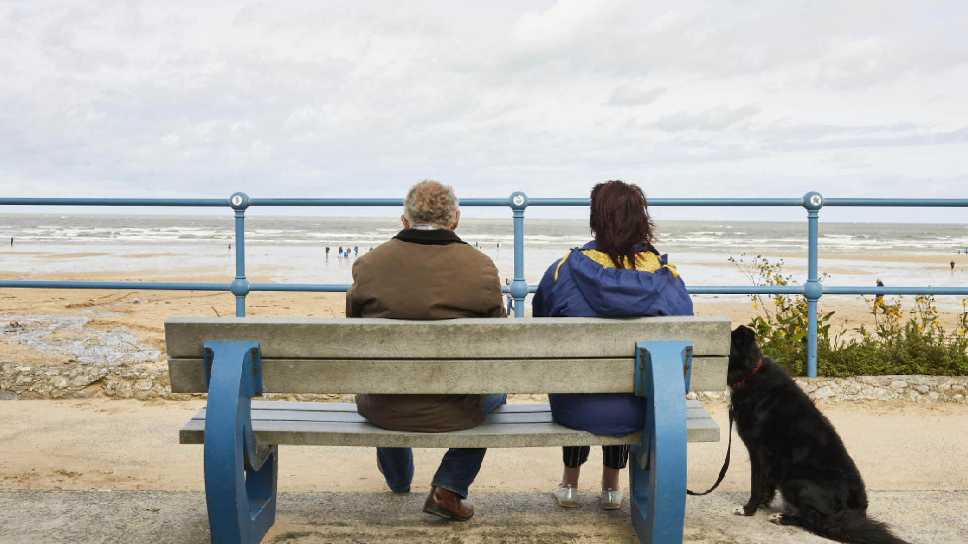 an older couple with their dog, sitting on a bench and looking out to sea 