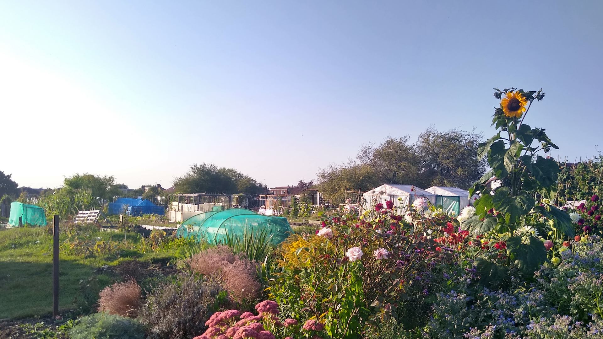 spring garden