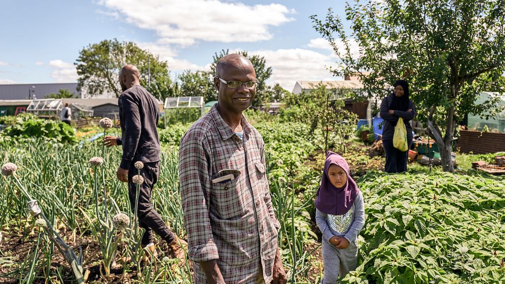 gorse hill allotment