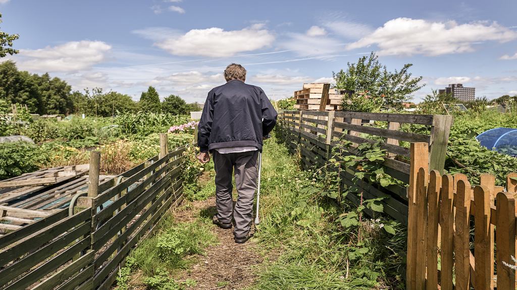 Man walking across an allotment