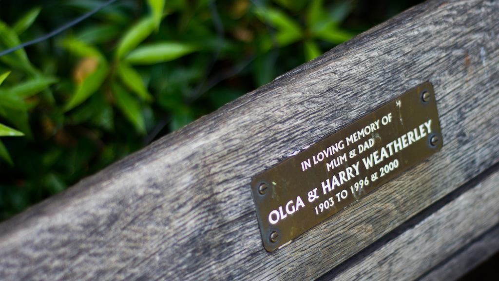 Park bench with a memorial plaque