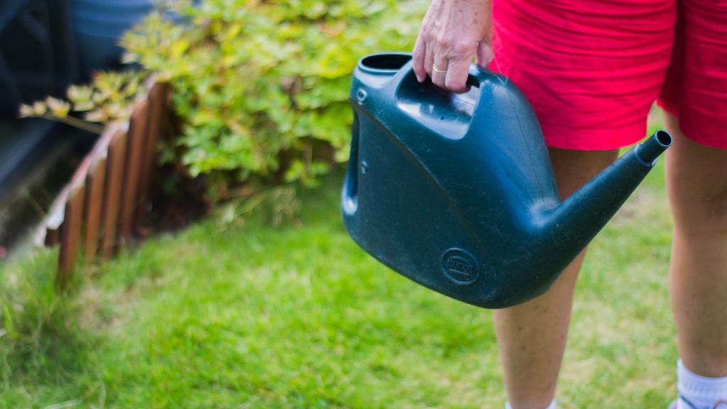 Older woman doing gardening