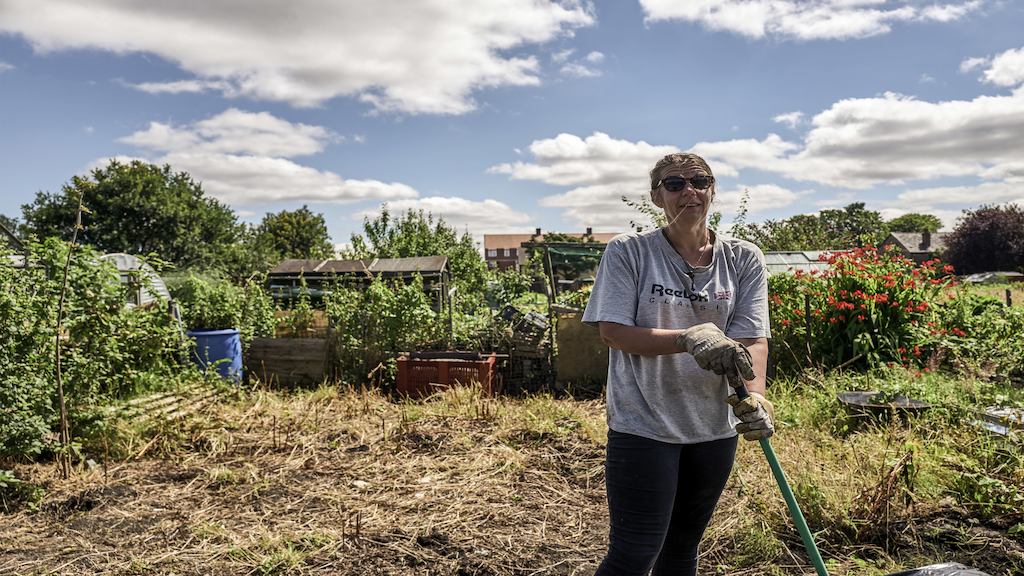 Woman gardening, Gorsehill, Greater Manchester