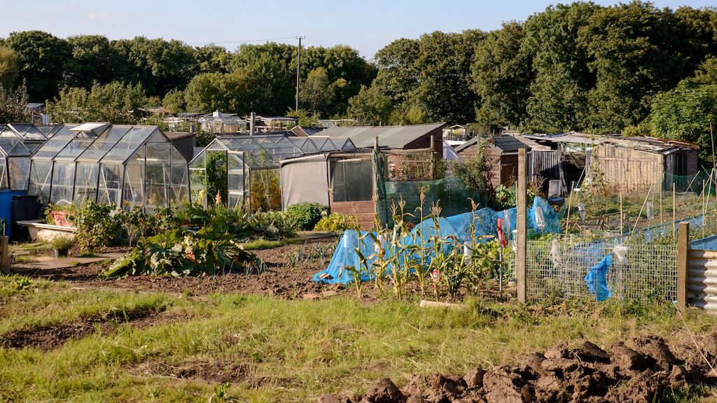 Allotment