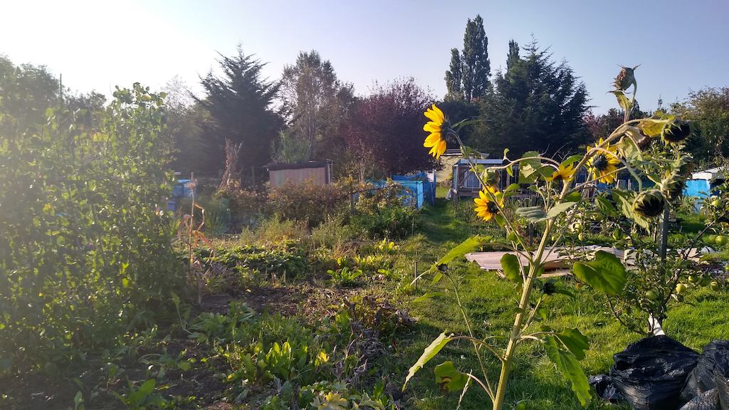 Allotment
