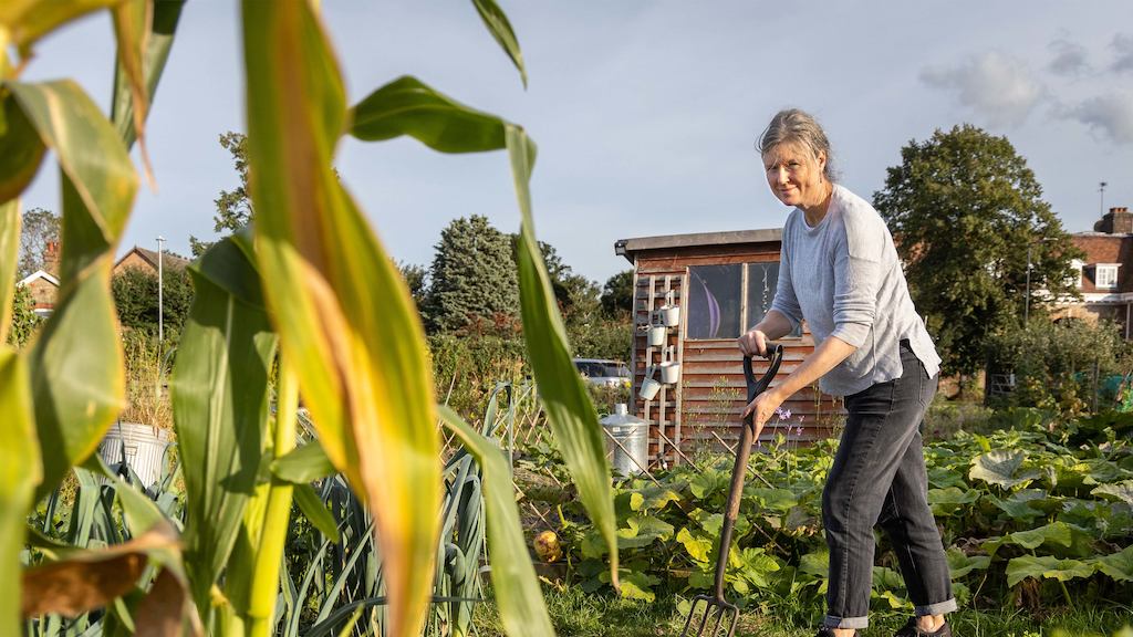 woman gardening