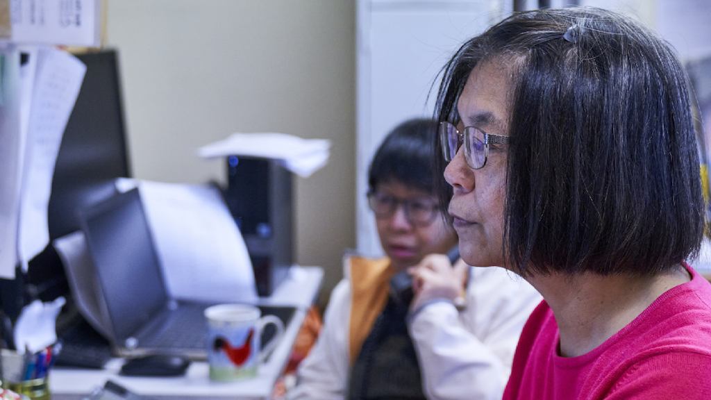 Two women of different ethnicities use computers in an office