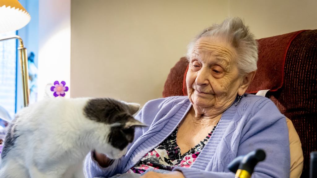 Older-woman-with-a-cat-on-her-lap