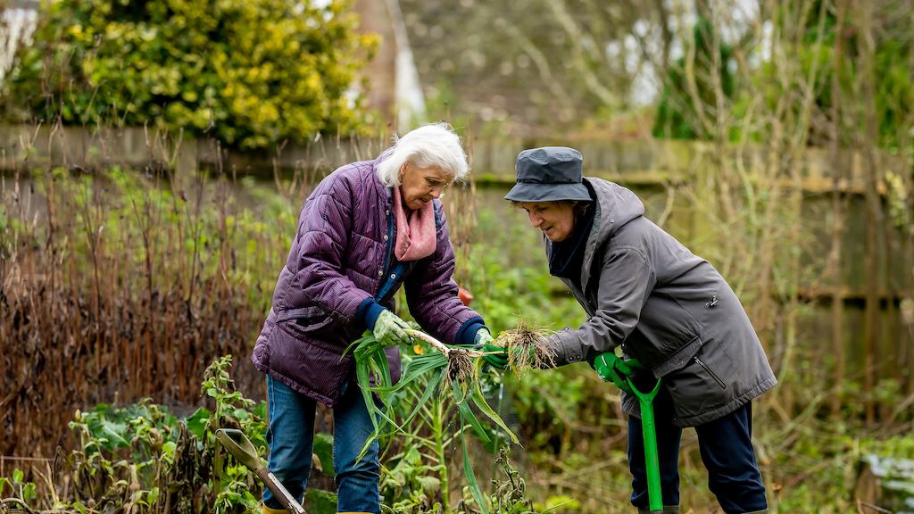 Older-women-gardening