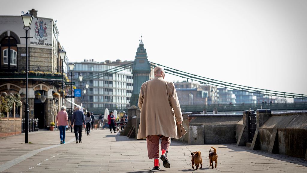 Older-man-walking-two-dogs
