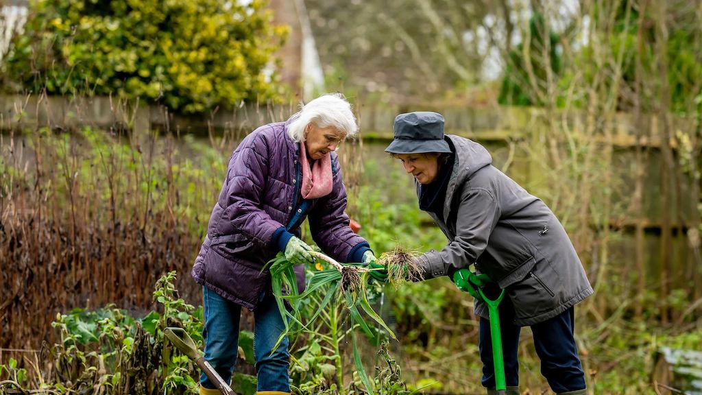 Two-older-women-gardening