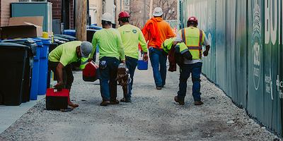 Decline in job security