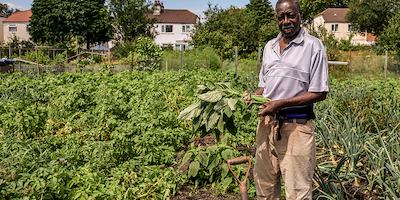 man in allotment