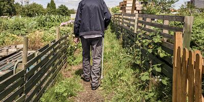 Man walking across an allotment