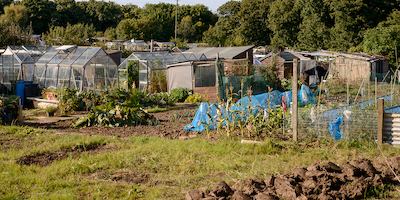 Allotment