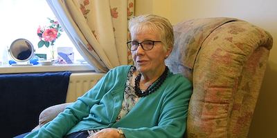 Hazel sitting on a chair