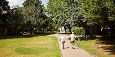 Older couple walking in a park