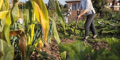 woman gardening