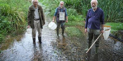 A group of older male volunteers cleaning a river