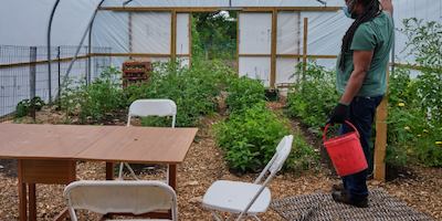 man gardening in a green house