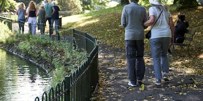 group of older people walking in a park