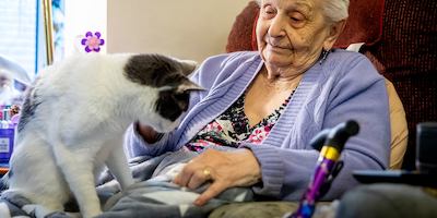 Older-woman-with-a-cat-on-her-lap
