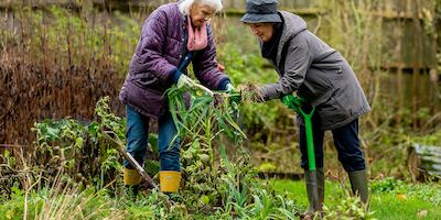 Older-women-gardening