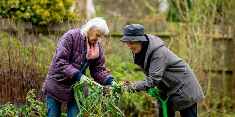 Older-women-gardening