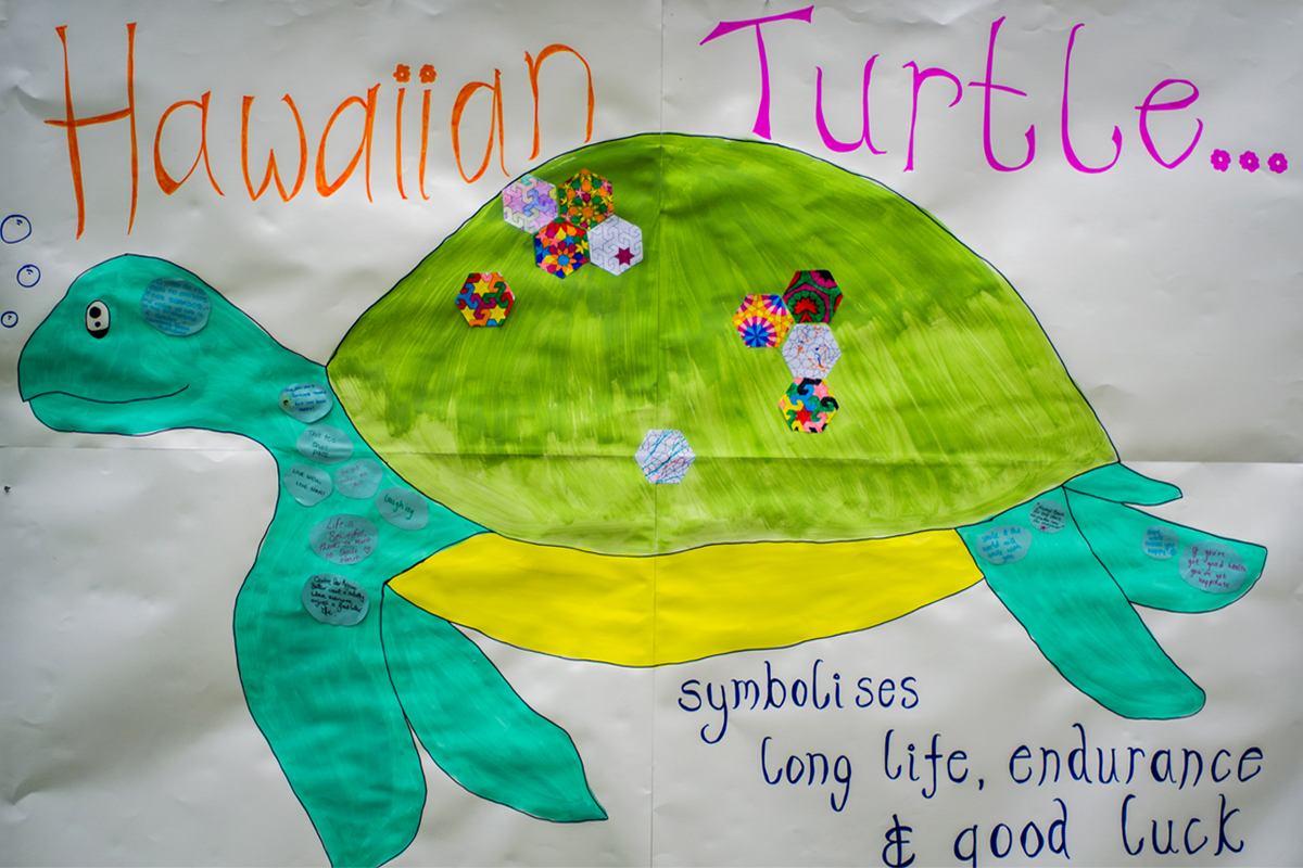 'Hawaiin Turtle' drawing