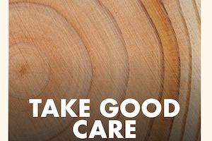 Take good care: improving support and wellbeing in later life