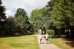 Older couple walking in a park