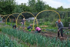 Group of people in an allotment