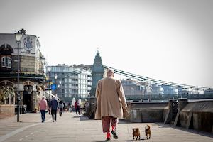 Older-man-walking-two-dogs