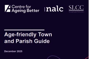 Age-friendly Town and Parish Guide