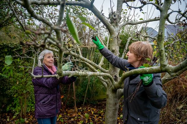 Two older women gardening