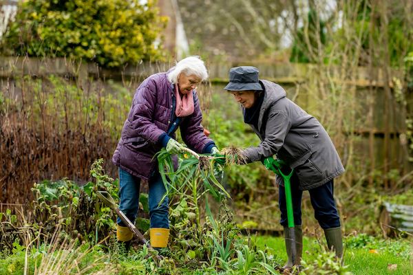 Two older women cutting bush