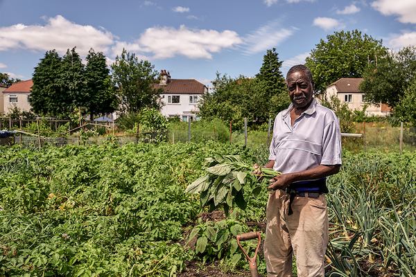 man in allotment