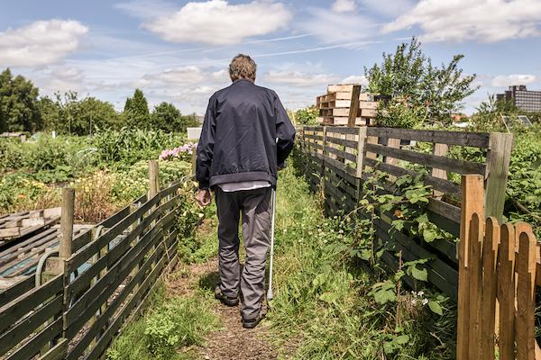Man walking across an allotment