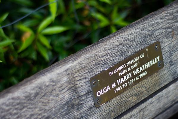 Park bench with a memorial plaque