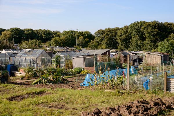 Allotment